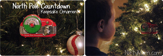 Hallmark Keepsake Ornament