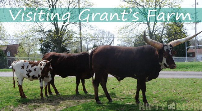Grant's Farm Review