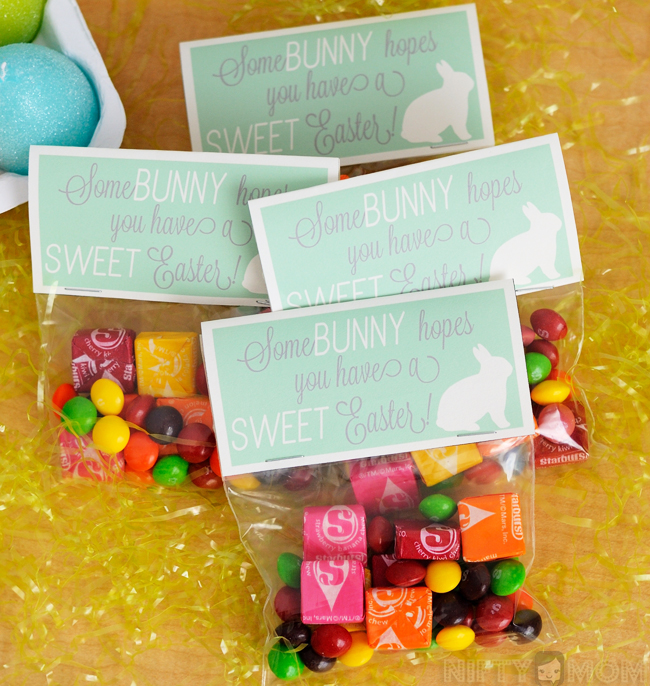 Sweet Easter Treat Bags with Printable Label #VIPFruitFlavors #shop