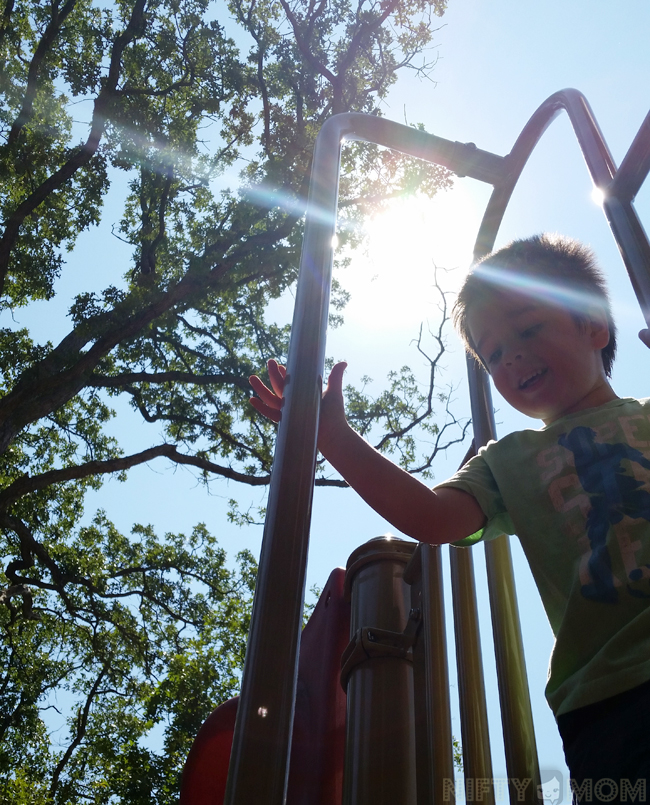 A Sunny Day at the Park