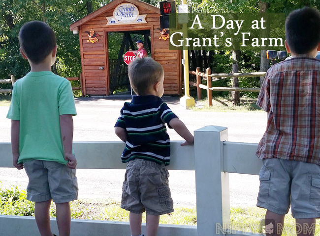 A Day at Gran'ts Farm in St. Louis, MO