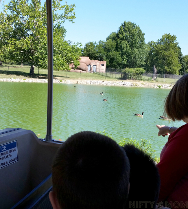 Lake at Deer Park in Grant's Farm