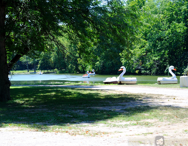 Paddle Boats in Grant's Farm