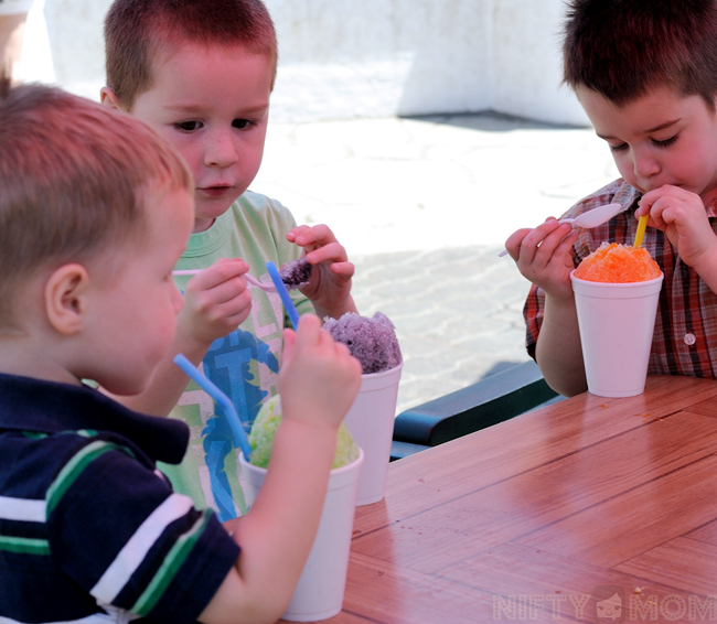 Grant's Farm Snow Cones