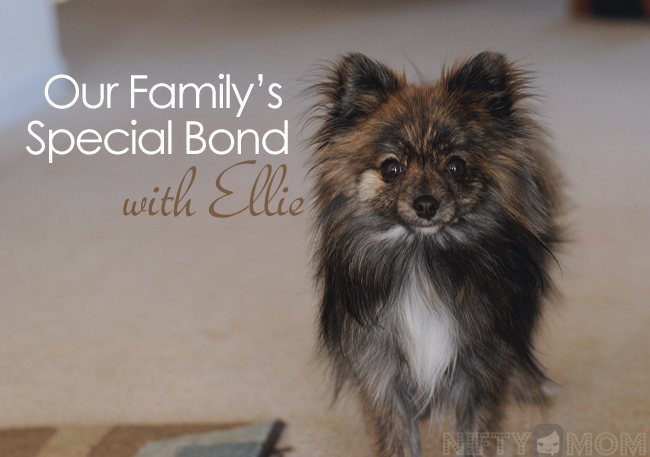 Our Family's Special Bond with Ellie