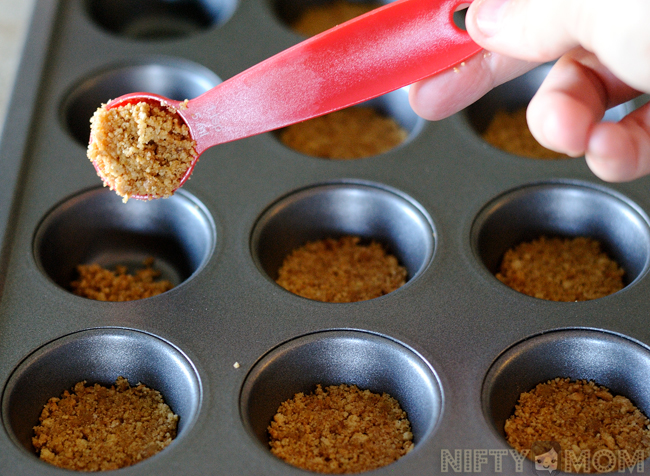 Mini Cheesecake Crust