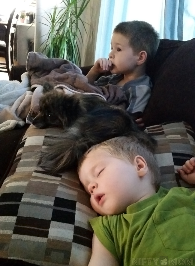 My Sick Little Ones