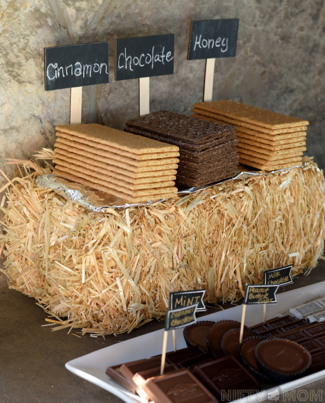 S'mores Party Graham Cracker Varieties