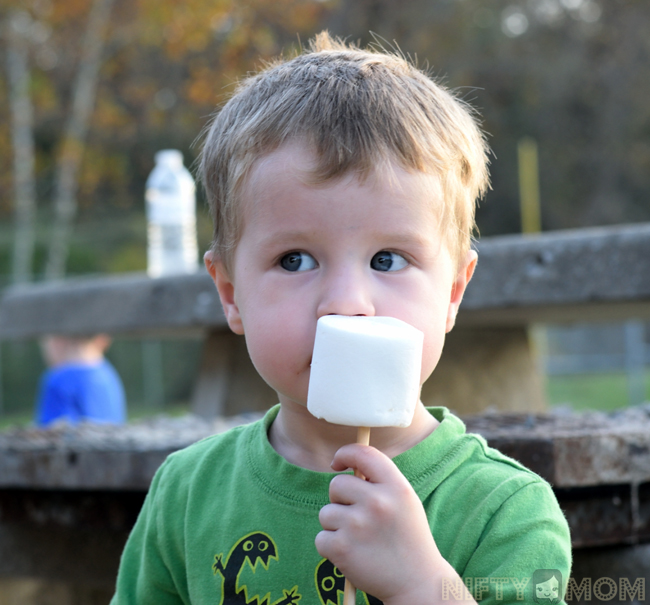 S'mores Party Large Marshmallows