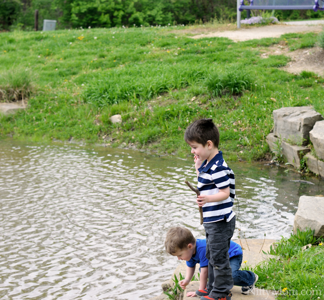 Outdoor Walk #GoldfishTales