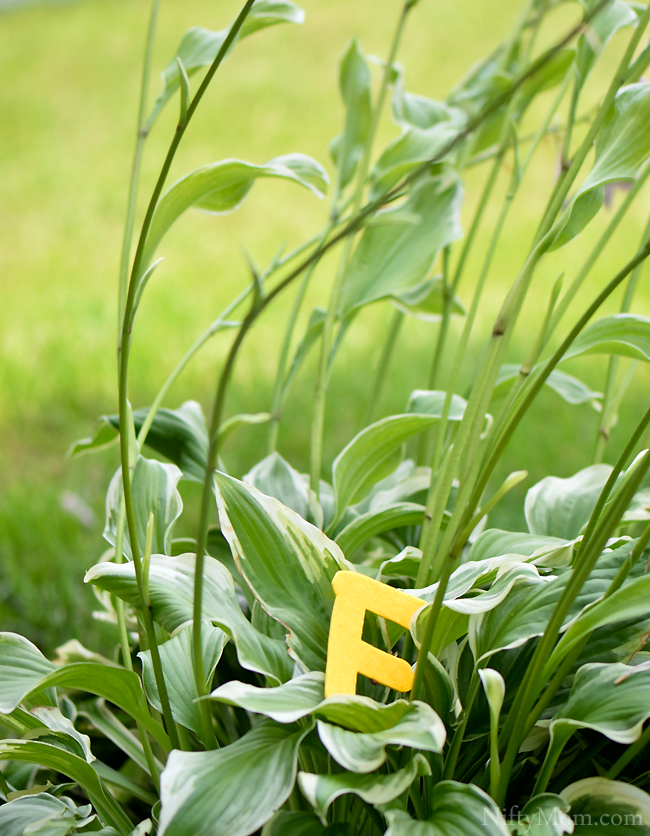 Outdoor Learning Activities - Letter Hide & Seek #BestSummerEver