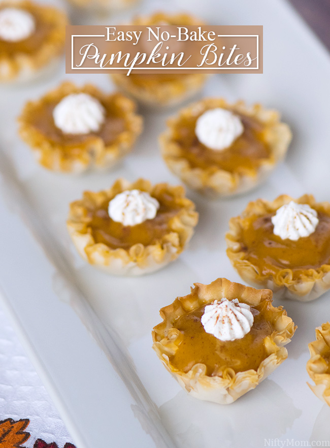 Easy No Bake Pumpkin Bites Recipes