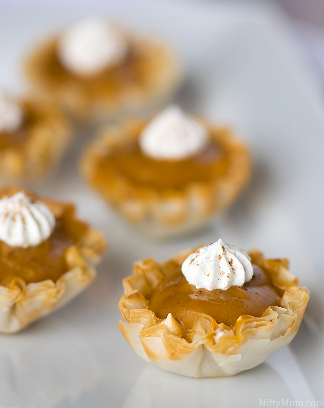 Easy No-Bake Pumpkin Spice Dessert Recipe