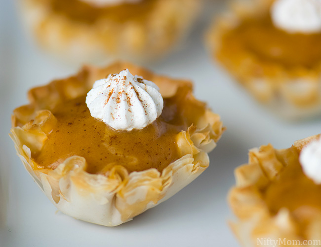 Easy No-Bake Pumpkin Spice Bites Recipe