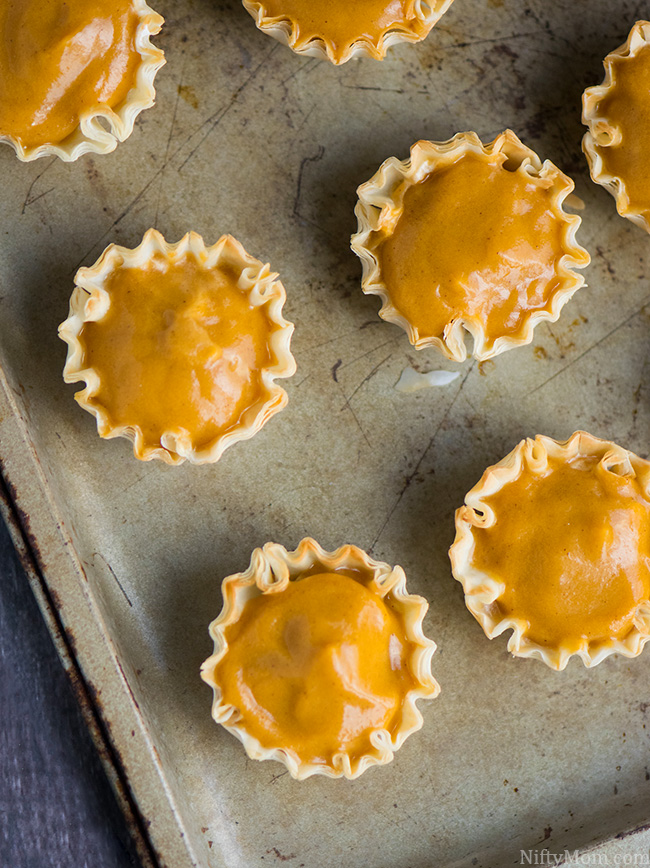 Easy No-Bake Pumpkin Spice Bites Recipe