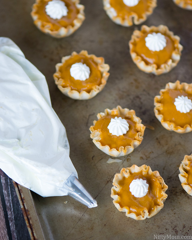 Mini No-Bake Pumpkin Spice Bites Recipe