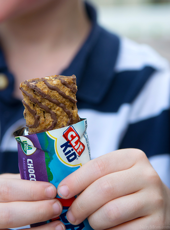 clif-bars-chocolate-chip