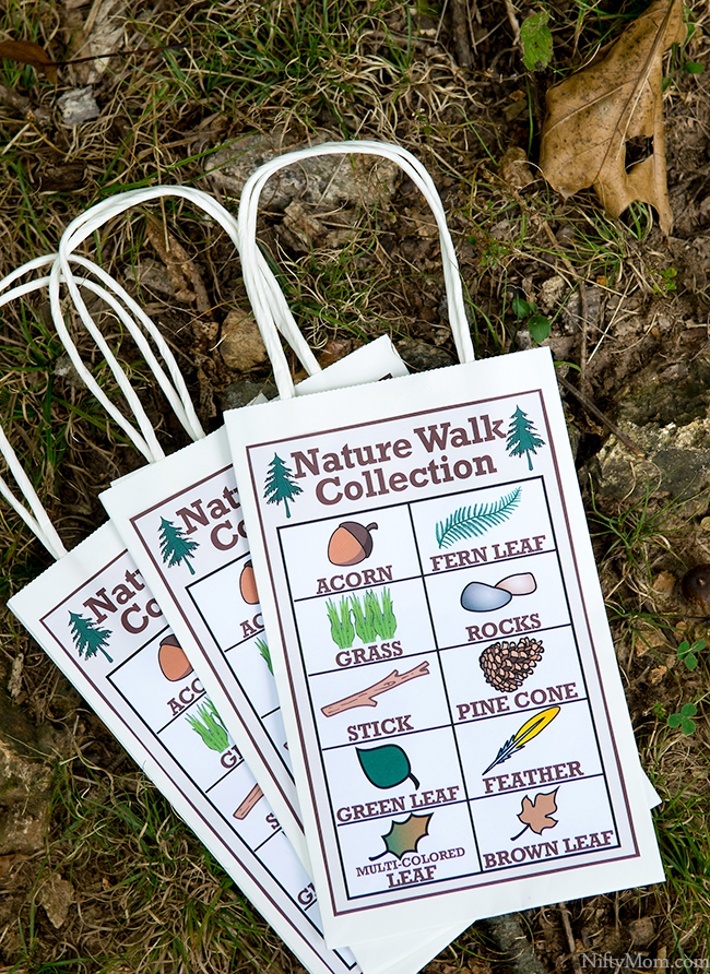 Free Printable Nature Walk Collection Sheets