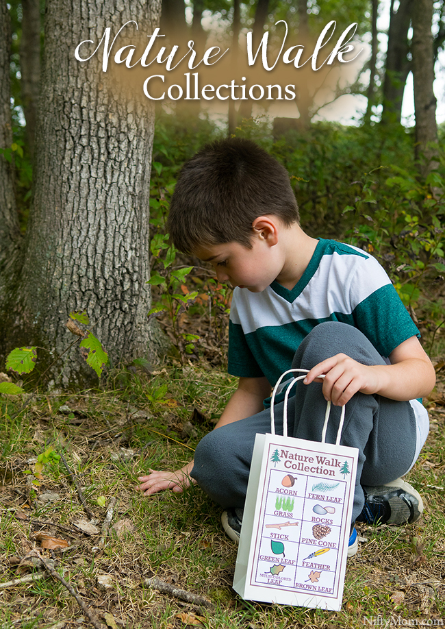Nature Walk Collections + Printable Activity Sheet