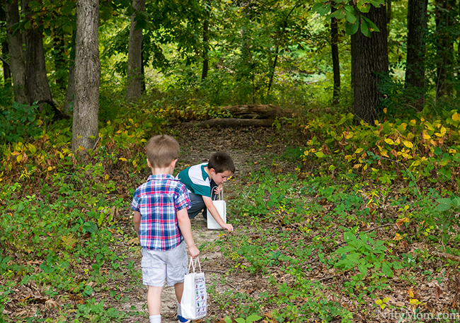 Fall Traditions with Kids - Nature Walk Collections + Printable Activity Sheet