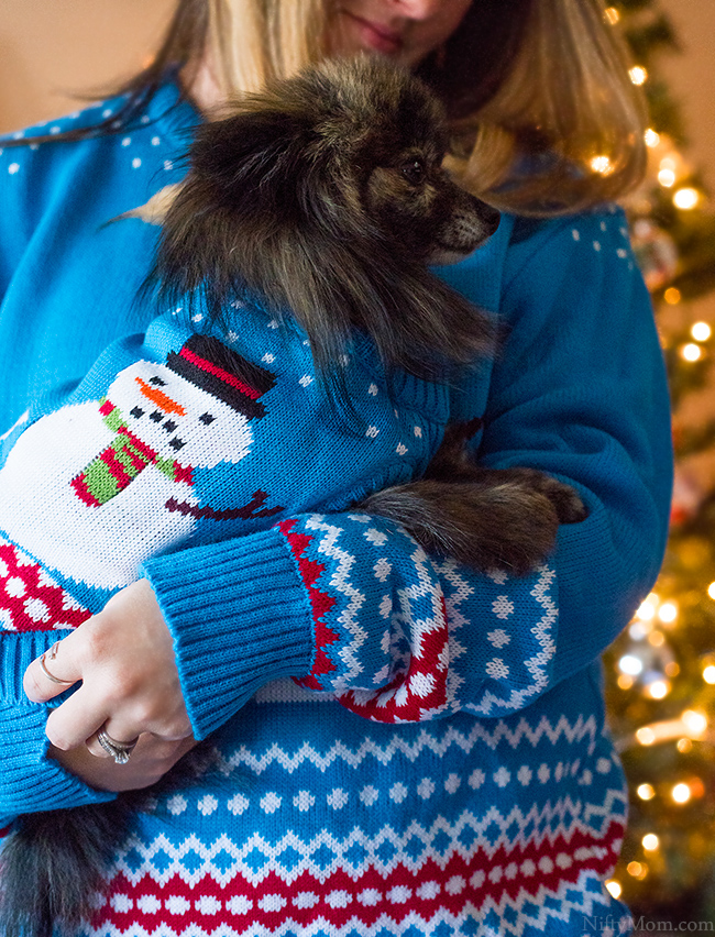 Matchy-Matchy Dog & Owner Sweaters