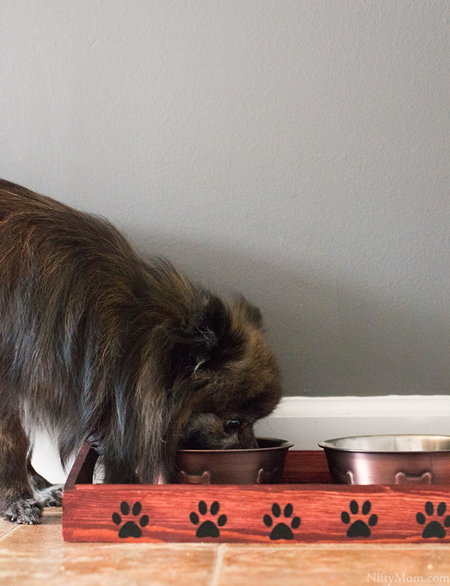 Turn a basic wooden tray into a custom dog food tray! Plus download the free file for the vinyl cutouts