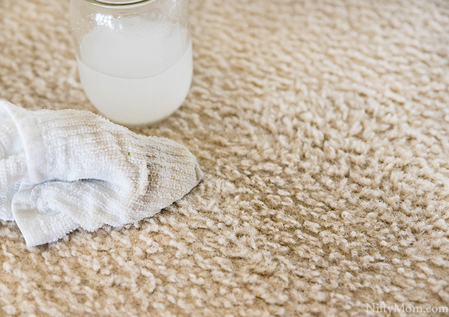 Easy Carpet Cleaning Hack {Spot Removal & Deep Cleaning}