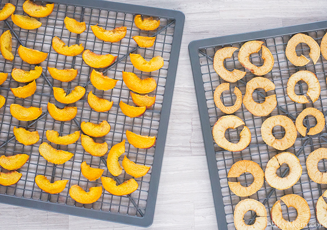 http://niftymom.com/wp-content/uploads/2017/11/dehydrating-fruits.jpg