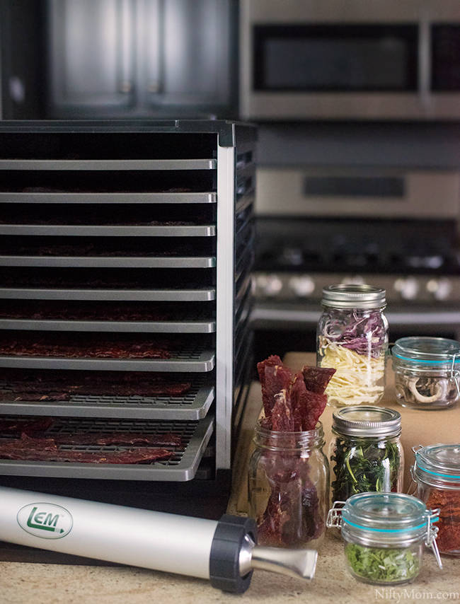 LEM 5-Tray Single-Door Countertop Dehydrator