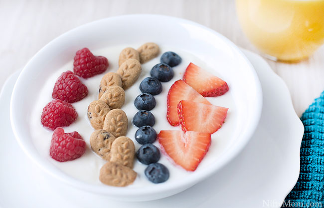 Berry Yogurt Bowl {Easy Breakfast Idea}