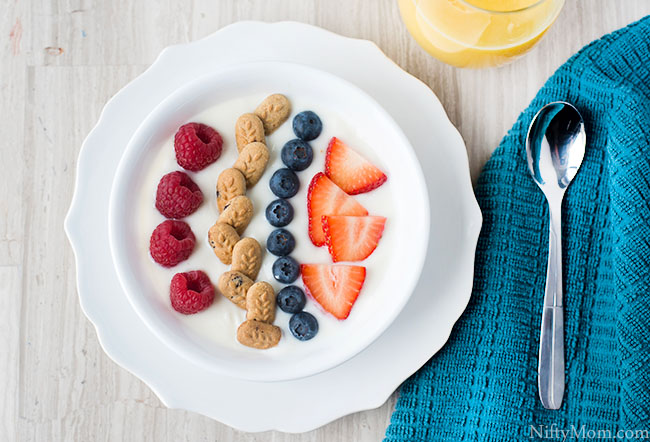 Berry Yogurt Bowl {Easy Breakfast Idea}