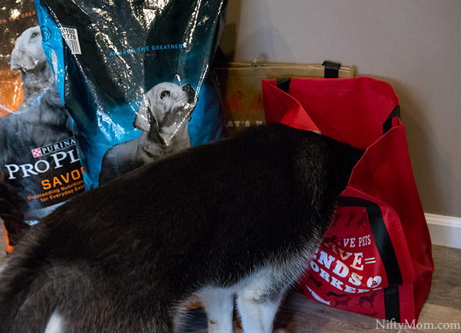 Tractor supply best sale purina puppy chow