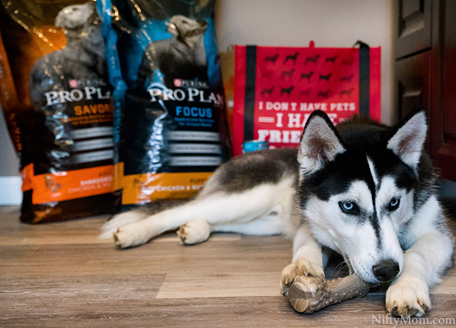 Purina pro plan sales husky