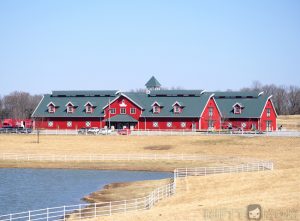 Visiting Warm Springs Ranch – Home Of The Budweiser Clydesdales – Nifty Mom