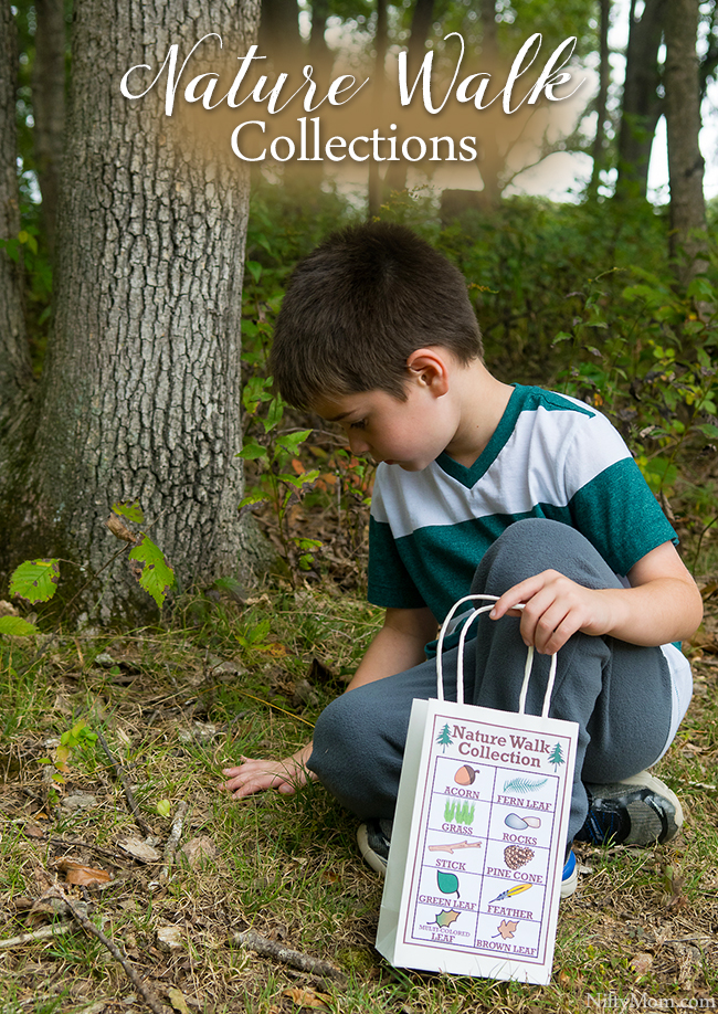 Free Nature Walk Activity Sheet