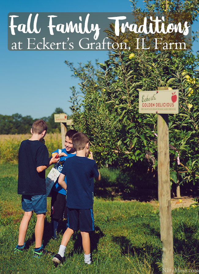 Fall Traditions ~ Apple & Pumpkin Picking at Eckert's Grafton Farm