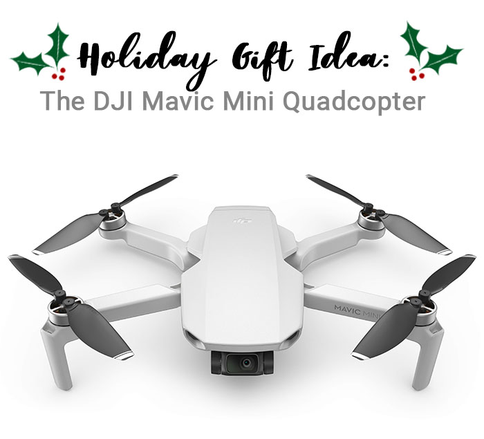 The DJI Mavic Mini Quadcopter Camera Drone