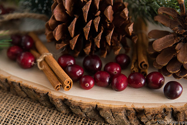 Holiday Cinnamon Cranberries Pinecones