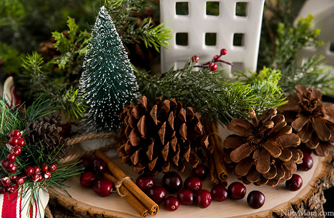 Rustic Winter Holiday Centerpiece